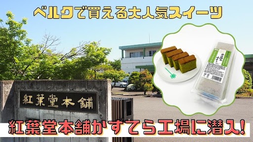 くらしにベルク「宇治抹茶かすてら」の工場、紅葉堂さんに行ってきました