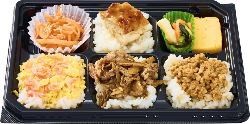 胚芽精米入りご飯のお弁当（ちょこっとずつ楽しめる和風6マス弁当）