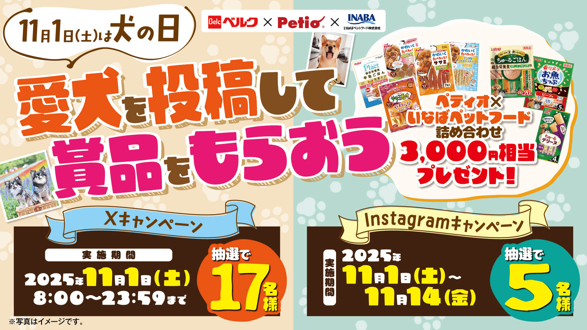 犬の日2025 SNSキャンペーン