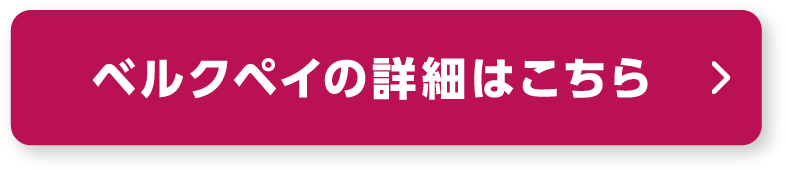 ベルクペイの詳細はこちら