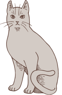 cat