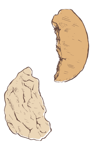 senbei